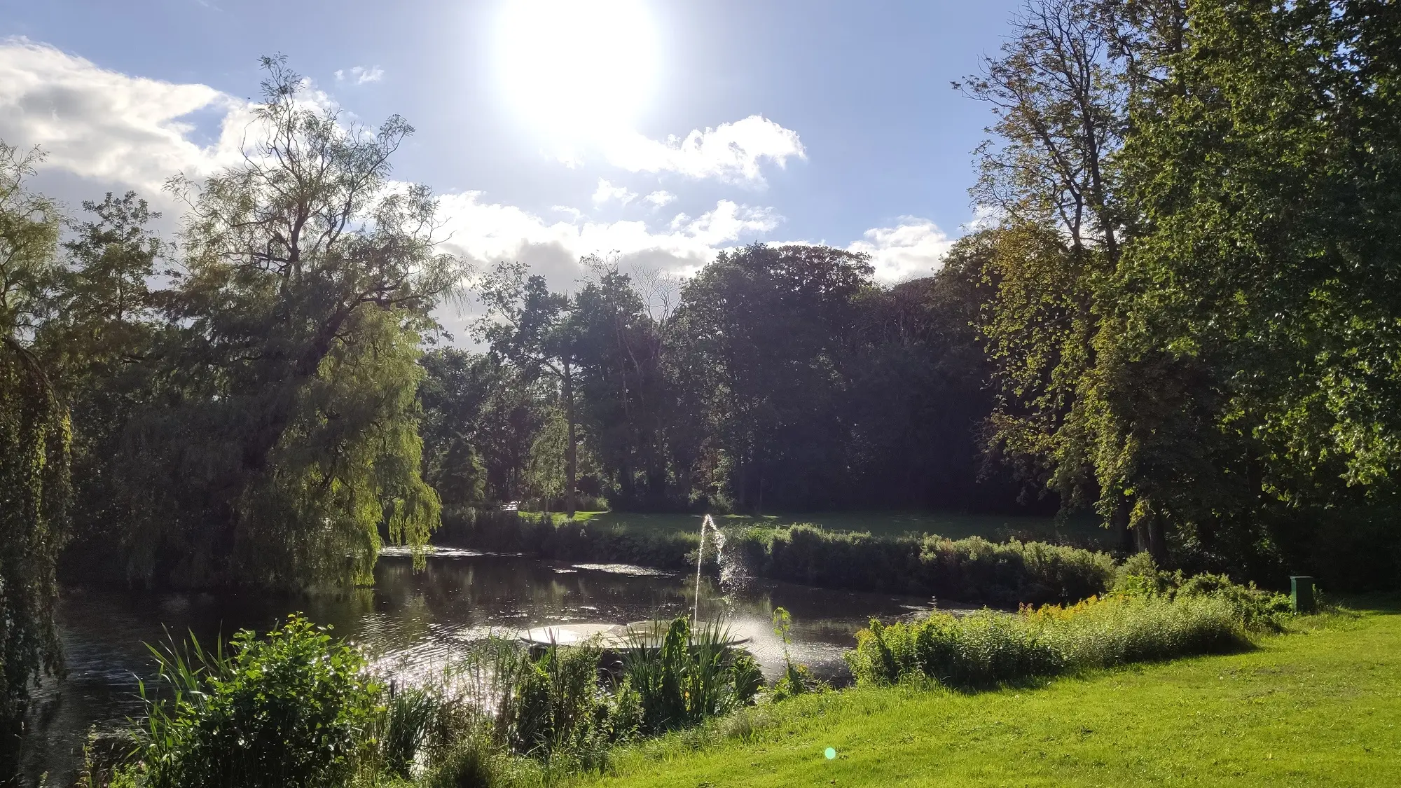 Groene omgeving in Joure